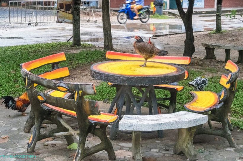 In the shade, you can sit down and eat - this is normal in Thailand