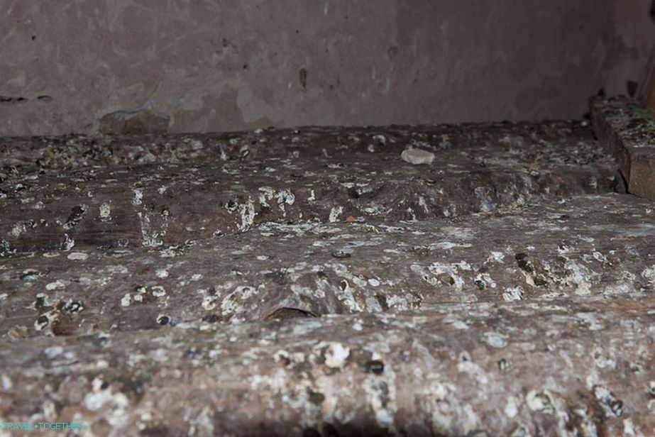 The staircase on the bell tower is chosen by birds