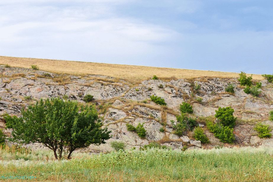 Next to the farm Dyadin