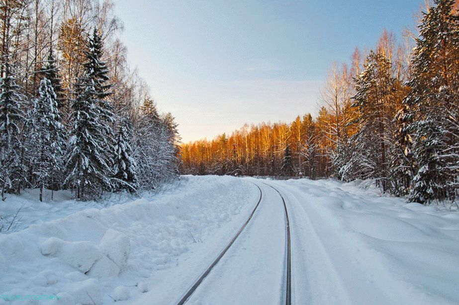 In the Vologda outback, on the forest-carrying Monzensky railway