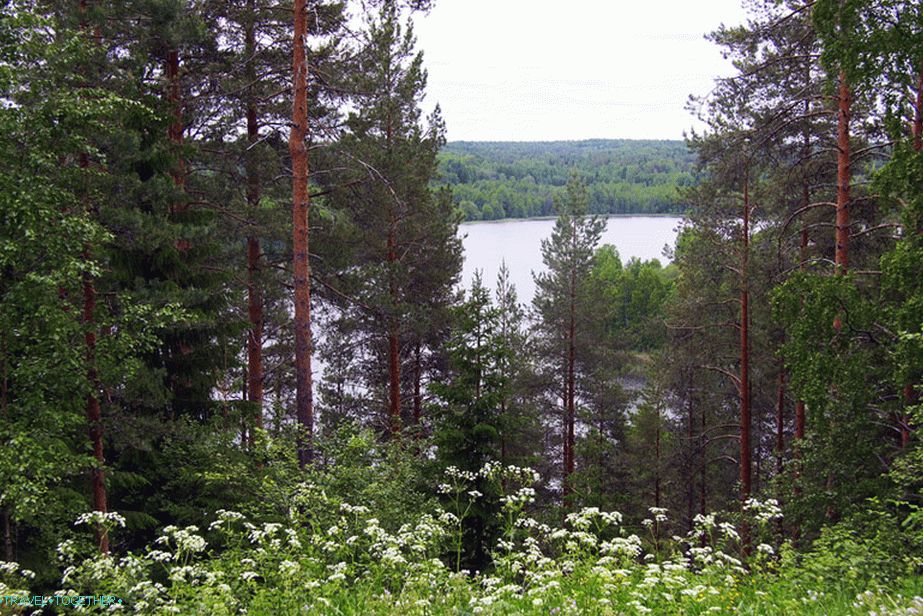 Beauty of Kenozerye, Arkhangelsk Region