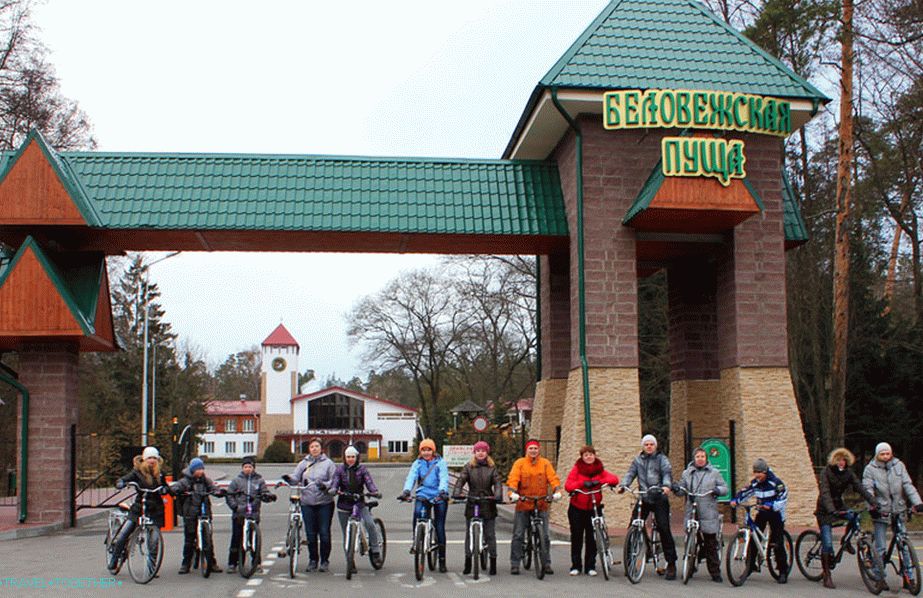 Before the cycling tour in Belovezhskaya Pushcha