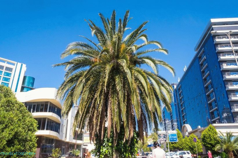 Historical Boulevard in Sochi - a secret walking area