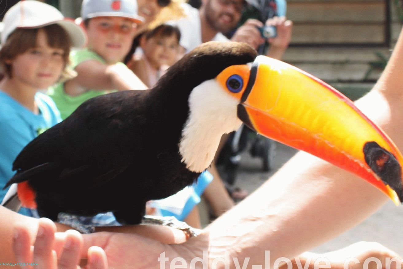 Exotics in Spain is enough too!