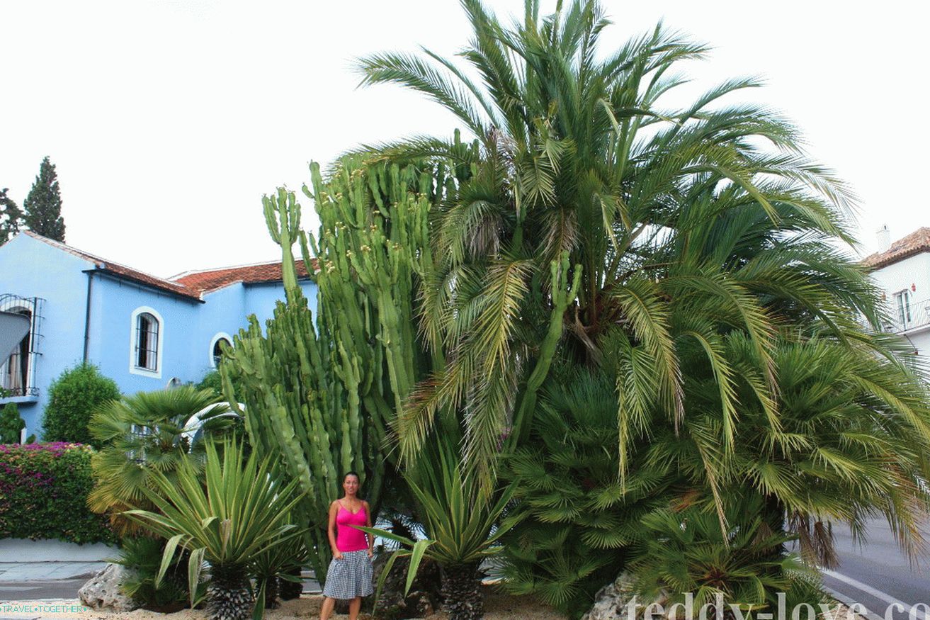 I love Spain for greens and the most diverse nature