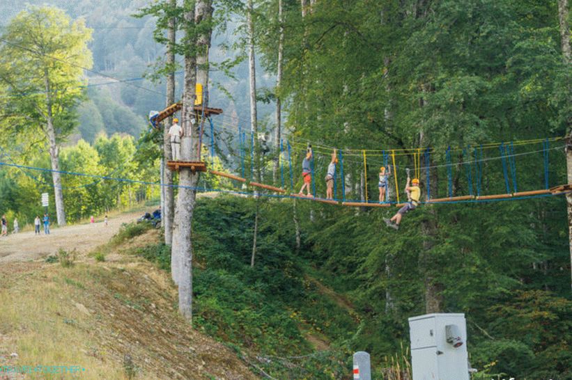 Yeti Park or Panda Park - we climb and fly in Rosa Khutor