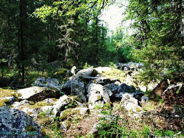 Iremel. Stone river.