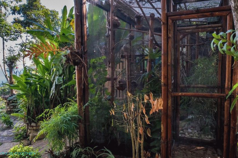 Cafe Monkey Bar on Phi Phi - for introverts and meeting dawn