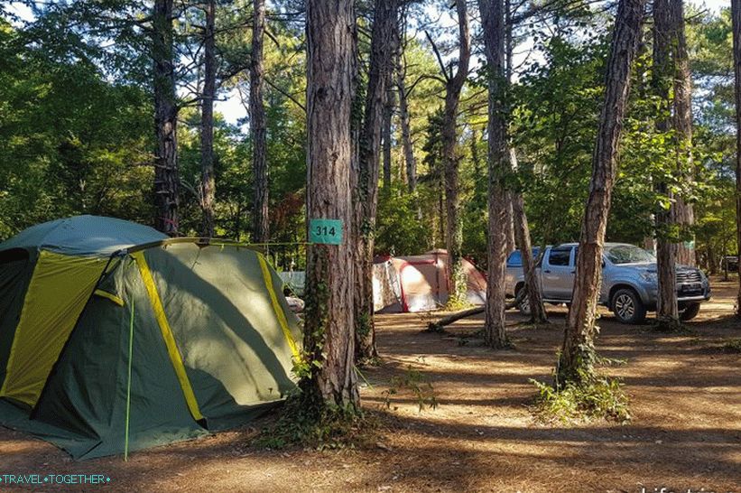 We arrived at the camping Pine Paradise, I love the pines!