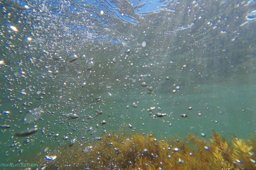 The Black Sea is not Red at all, but you can shoot it once