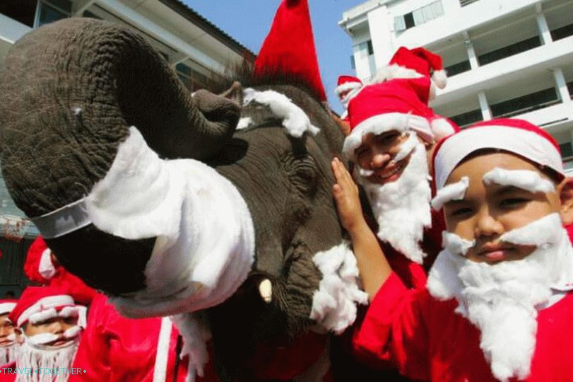 European New Year in Thailand