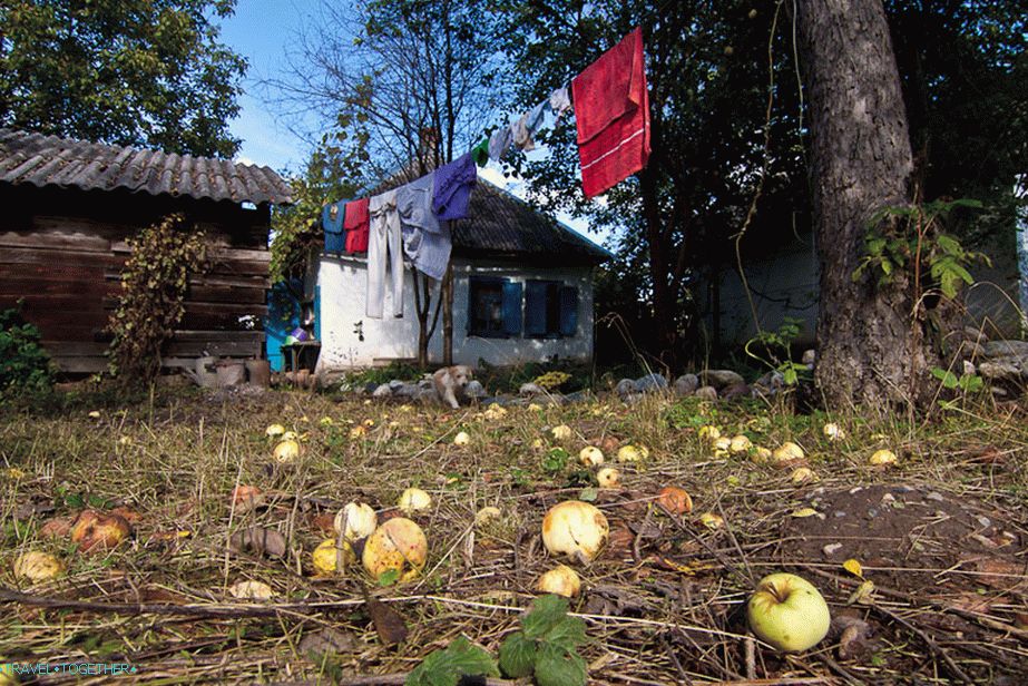 Its apples, not Moldovan