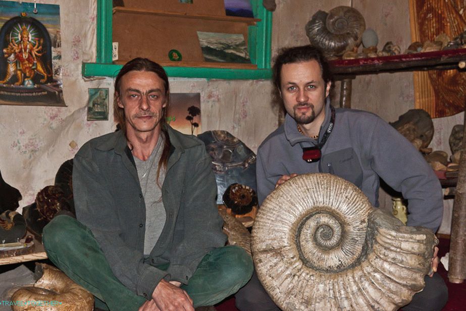 The collection of ammonites Eugene