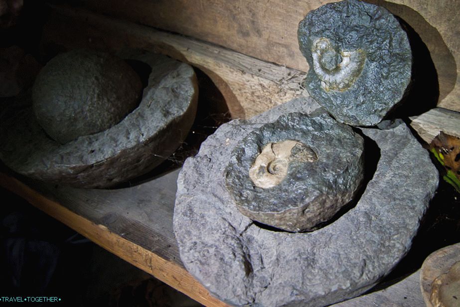 Ammonites are inside round stones