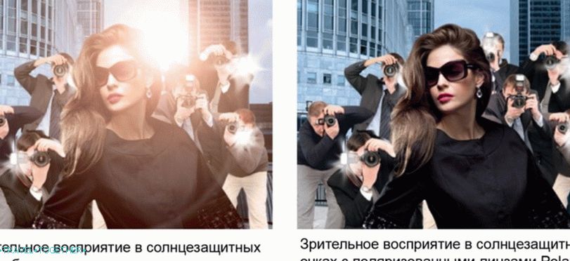 Polarized Sunglasses