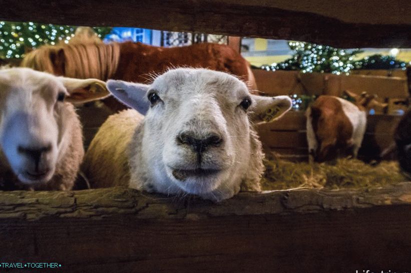 How Christmas is Celebrated in the Czech Republic - Prague and the Province