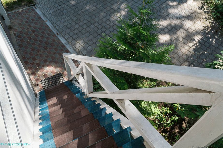 Ladder-descent from the house