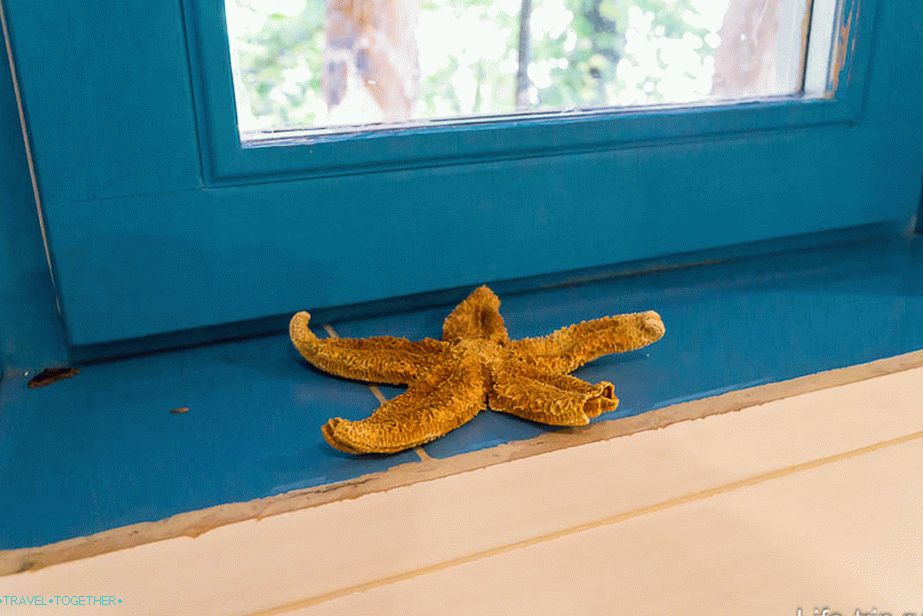 Everywhere, small details, pleasing the eye