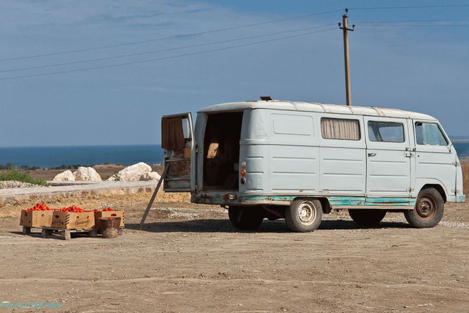 Tomatoes for 10 rubles