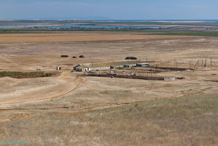 Top view of the field