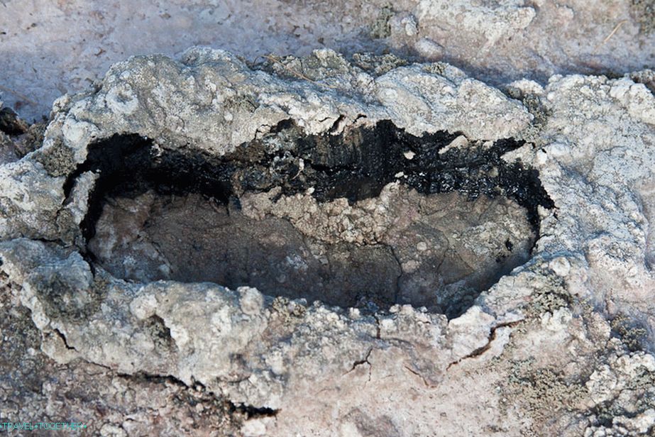 Trace from my sneaker, almost sucked