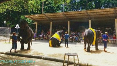 Elephant Show at Namuang Safari Park on Samui