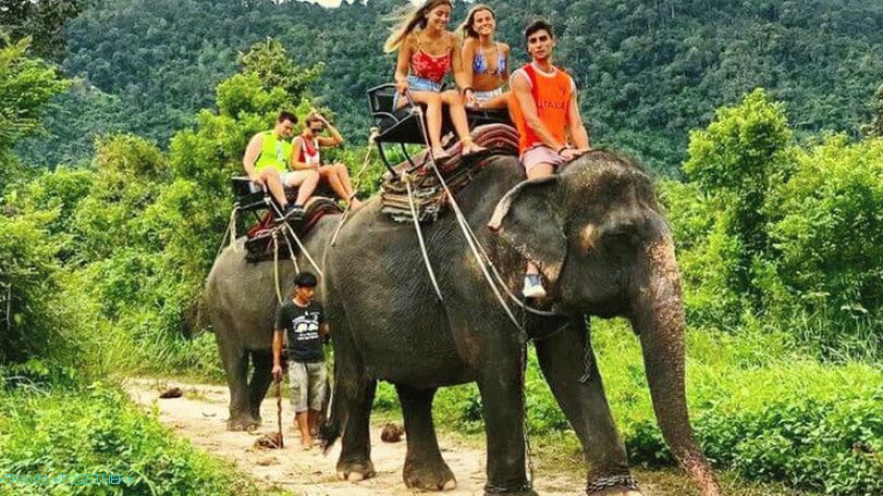 Riding on elephants in the Namuang Safari Park on Samui