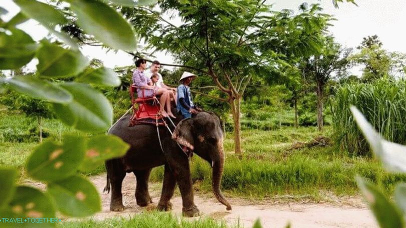Riding on elephants in the Namuang Safari Park on Samui