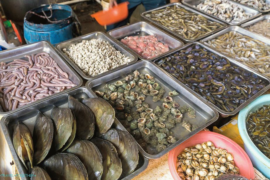 And here they are sea snacks