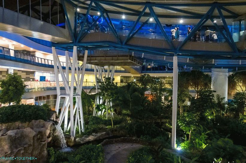 Garden under the Ferris wheel