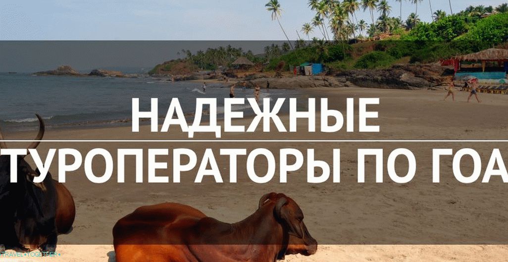 To entrust the rest? Reliable tour operators in Goa