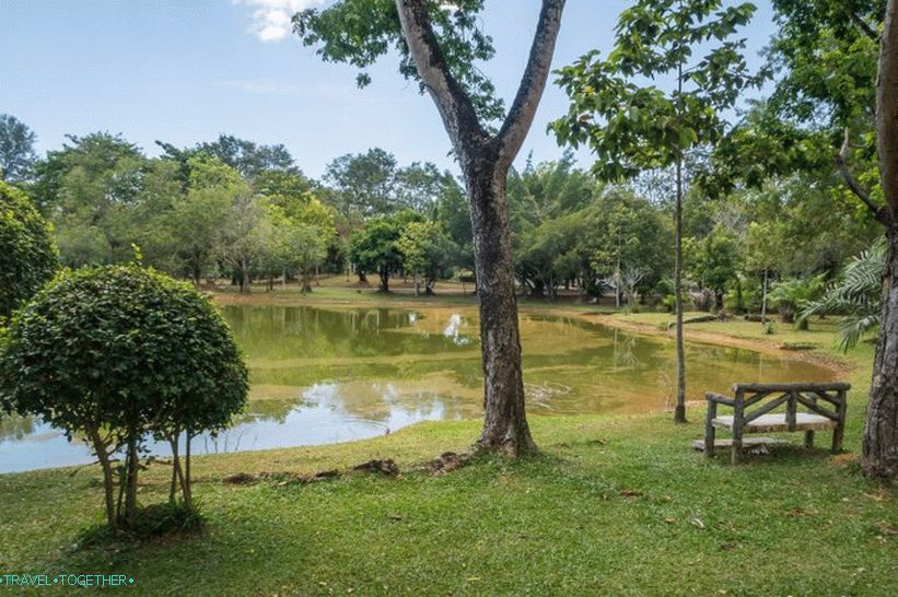 Royal Park (Rama IX Park) - the only park in Phuket