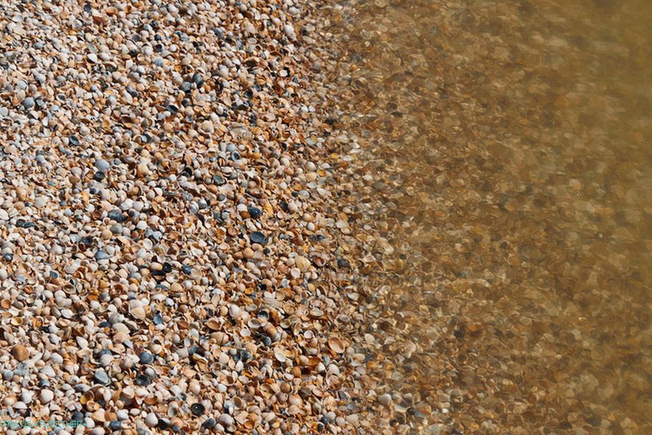 Long Spit - shell beach