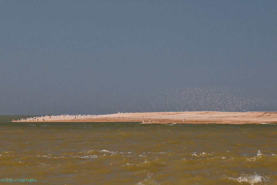Near the island with gulls and cormorants - the continuation of the spit