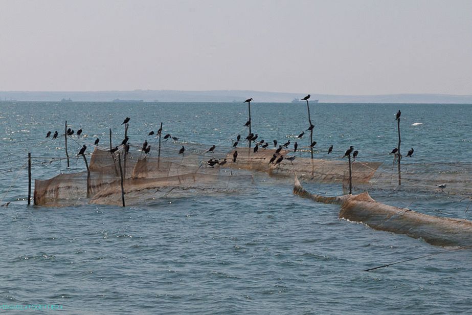 Fishing gear