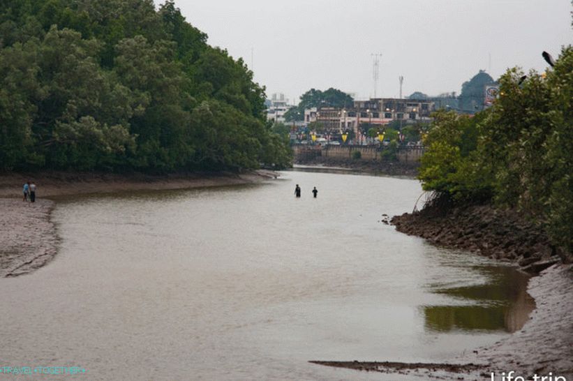 Krabi River at low tide