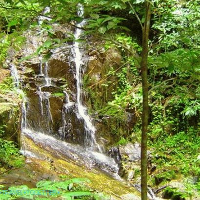 Ton Sai Waterfall in Phuket