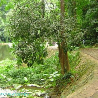 Ton Sai Waterfall in Phuket