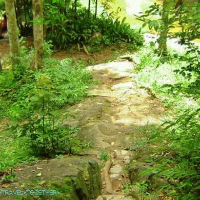 Ton Sai Waterfall in Phuket