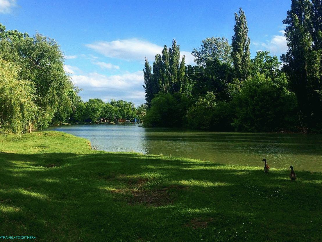Park Sunny Island. Photo - @tanya_kaliturina