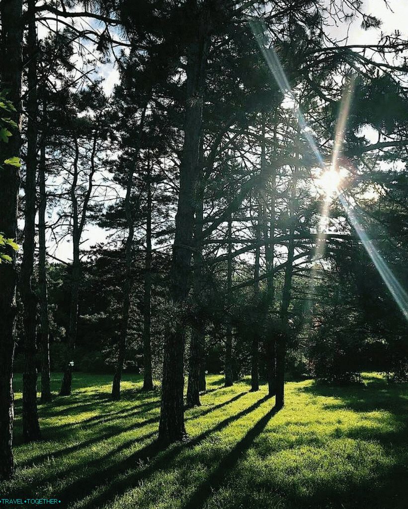 Arboretum in Krasnodar. Photo - @kristinamarinkina