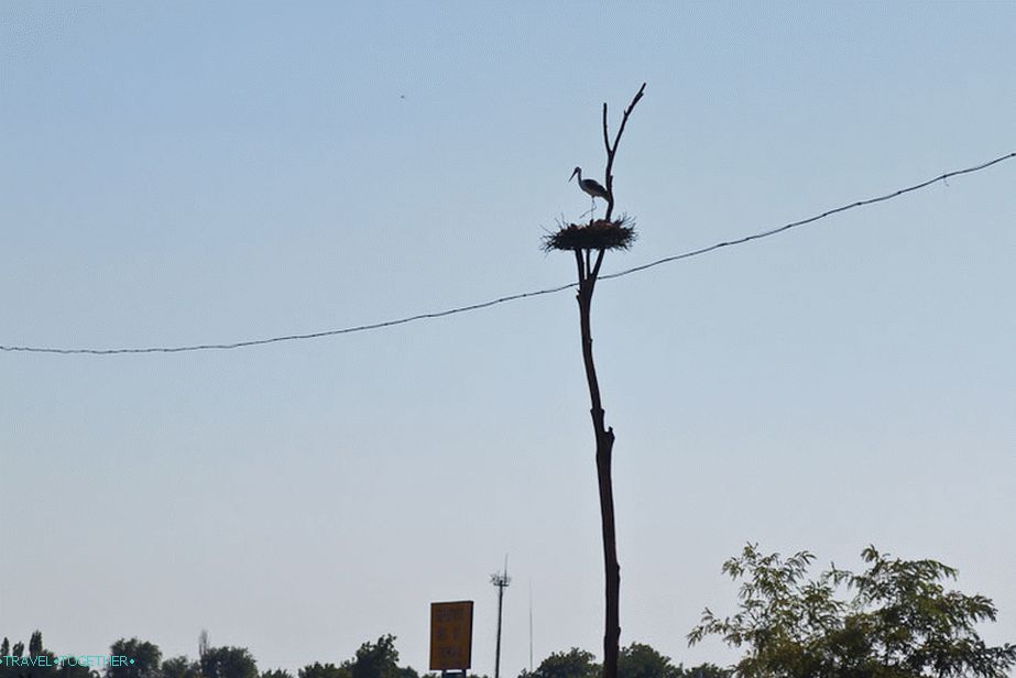 Artificial stork near Azov