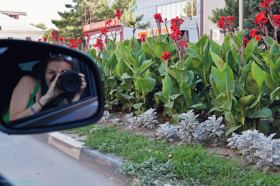 Flower beds in the city of Azov