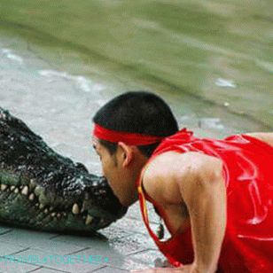 Show crocodiles in Pattaya
