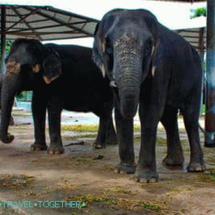 Park of million-year stones in Pattaya
