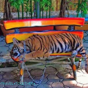 Park of million-year stones in Pattaya