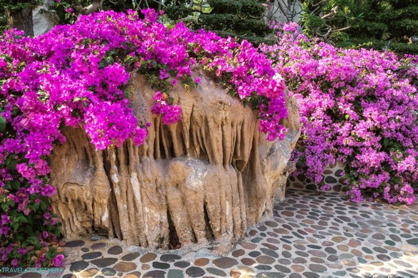 Crocodile farm in Pattaya and the park of million-year stones - my impressions