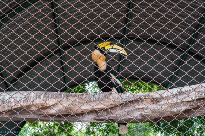 Crocodile farm in Pattaya and the park of million-year stones - my impressions