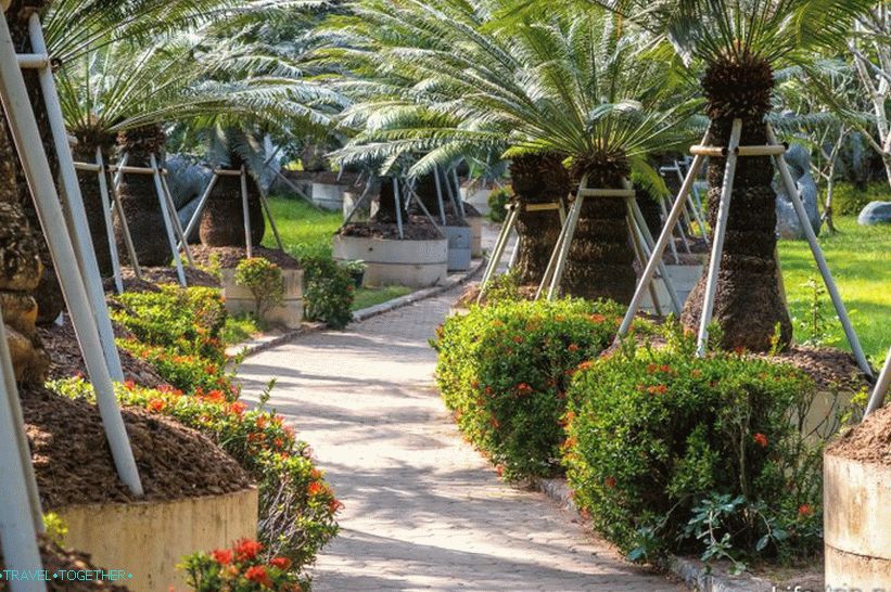 Crocodile farm in Pattaya and the park of million-year stones - my impressions