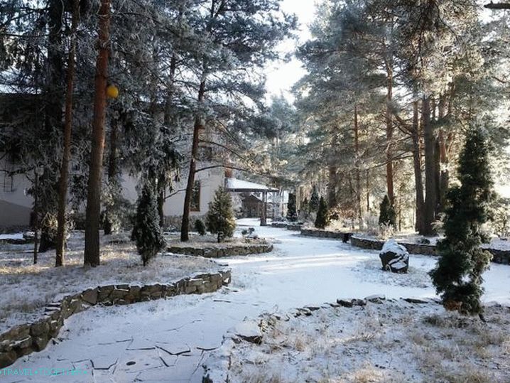 Winter holidays